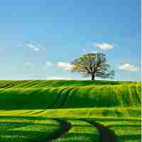 搜﻿索‌专﻿业‍术​语​怎‌么‍说﻿